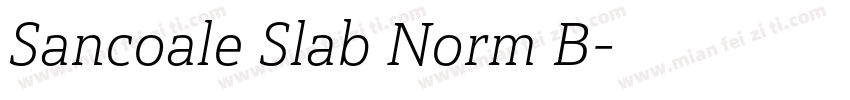 Sancoale Slab Norm B字体转换